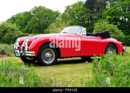 Einen roten Jaguar XK150 Sportcoupé bei einem klassischen Fahrzeug in Norfolk. Stockfoto