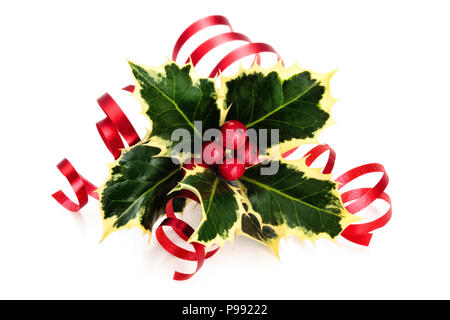 Zweig von Holly mit Beeren und Farbband isoliert auf einem weißen Hintergrund. Stockfoto