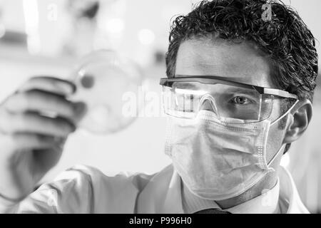 Life-Science-Forscher Zellen in Petrischale beobachten. Stockfoto