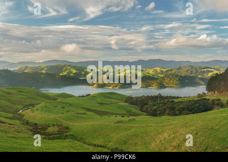 Blick über Coromandel Halbinsel vom State Highway 25 im Winter abends nach dem Regen,. In der Nähe von Manaia, 15 km südlich von Coromandel Town. Neuseeland Stockfoto