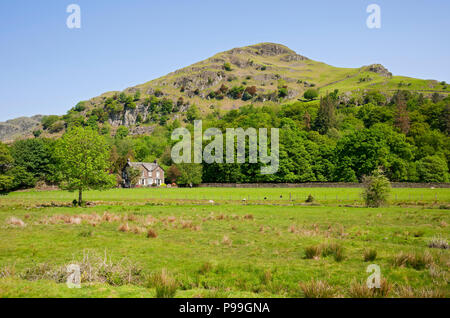 Helm Crag Easedale im Frühjahr in der Nähe des Grasmere Lake District National Park Cumbria England Vereinigtes Königreich GB Großbritannien Stockfoto