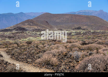 Pfad durch vulkanische Gegend der Insel Teneriffa, Kanaren, Spanien, Europa Stockfoto