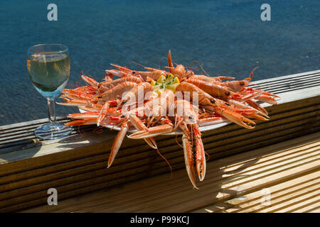 Lokal platter der Schottischen Garnelen mit Wein aus dem Meer gefangen Stockfoto