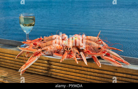 Lokal platter der Schottischen Garnelen mit Wein aus dem Meer gefangen Stockfoto