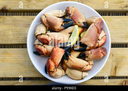 Große Schale frische Krabben Stockfoto