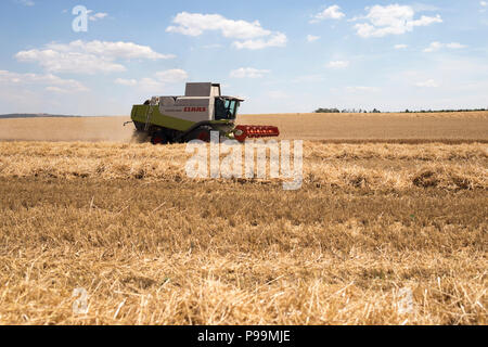 Ein Mähdrescher arbeitet in einem Feld schneiden Weizen Stockfoto