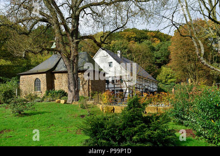 Deutschland, Nordrhein-Westfalen Wanderweg BaldeneySteig in Essen. Stockfoto