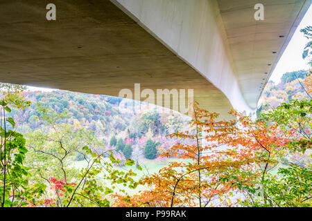 Double Arch Brücke bei Natchez Trace Parkway in der Nähe von Franklin, TN, Herbst Landschaft Stockfoto