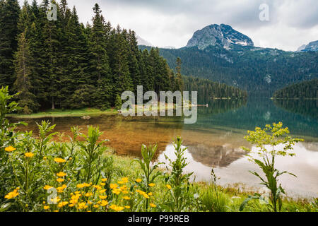 Mit Blick auf den kristallklaren Crno jezero (Schwarzer See) im Nationalpark Durmitor, Montenegro Stockfoto