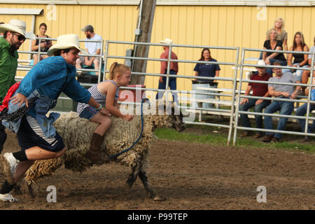 Kind reiten ein Schaf, bekannt als mutton Bustin'. Kleine Stadt wöchentlich Sport. Fox Hollow Rodeo. Waynesville, Dayton, Ohio, USA. Stockfoto