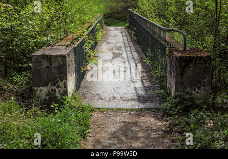 Kleine konkrete Brücke, Zaun verrostet, bedeckt mit dichter Vegetation mit grünen Wald um. Stockfoto