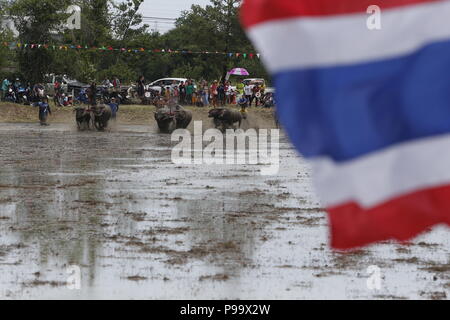 Thailand. Am 15. Juli 2018. Jockeys konkurrieren in Chonburi der jährliche Buffalo race Festival in der Provinz Chonburi, östlich von Bangkok am 15. Juli 2018. Credit: chaiwat Subprasom/Pacific Press/Alamy leben Nachrichten Stockfoto