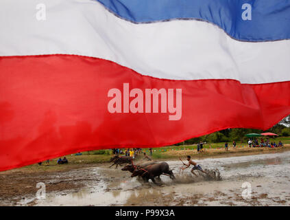 Thailand. Am 15. Juli 2018. Jockeys konkurrieren in Chonburi der jährliche Buffalo race Festival in der Provinz Chonburi, östlich von Bangkok am 15. Juli 2018. Credit: chaiwat Subprasom/Pacific Press/Alamy leben Nachrichten Stockfoto