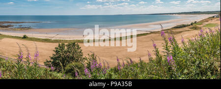 Northumberland Küste AONB, Panoramablick auf Alnmouth Strand und eine geröstete Golfplatz nach einem langen, heißen Trockenperiode im Jahr 2018 Stockfoto