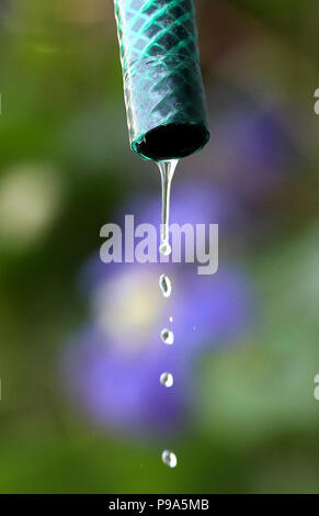 Embargo auf 0001 Dienstag, 17. Juli Tropfen Wasser aus einem Gartenschlauch, wie Millionen von Menschen sehen eine Schlauchleitung verbot, Wasser Unternehmen United Utilities angekündigt hat. Stockfoto