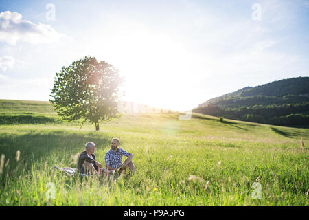 Ein erwachsener Sohn Hipster mit Senior Vater sitzen auf dem Gras in sonnige Natur. Stockfoto