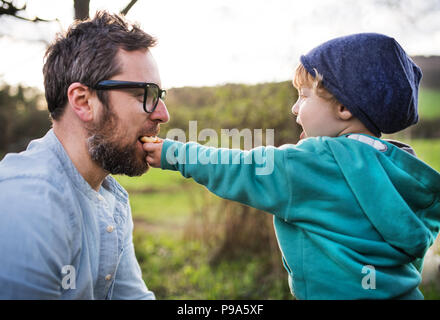 Ein Kleinkind Junge seinen Vater ein Keks außerhalb im Frühjahr die Natur. Stockfoto