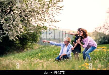 Senior Paar mit Enkelin außerhalb im Frühling Natur, zeigen mit dem Finger auf etwas. Stockfoto