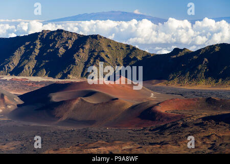 Bunte Schlackenkegel innerhalb der Krater Haleakala National Park, Maui, Hawaii Stockfoto