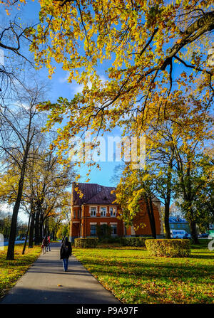 Alte Straße im Herbst in St. Petersburg, Russland. St. Petersburg hat einen bedeutenden historischen und kulturellen Erbe. Stockfoto