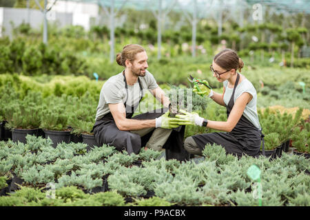 Junge paar Arbeiter in Uniform die Pflege von Pflanzen im Gewächshaus der Pflanzen shop Stockfoto