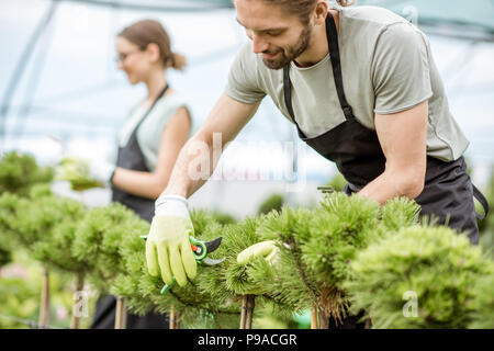 Paar der Arbeiter kümmert sich um dekorative Bäume für den Verkauf im Shop der Treibhausgasemissionen Stockfoto