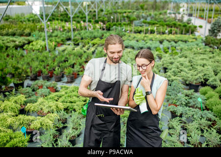 Arbeitnehmer mit Tablet im Gewächshaus Stockfoto