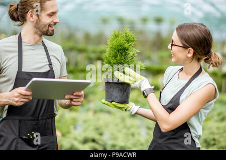 Arbeitnehmer mit Tablet im Gewächshaus Stockfoto