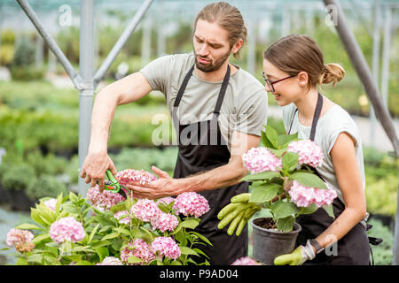Arbeitnehmer mit Blumen im Gewächshaus Stockfoto