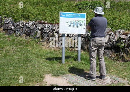 Touristische Lesen der Infotafel am Drombeg Steinkreis in der Grafschaft Cork Stockfoto