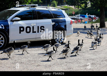 Helsinki, Finnland. Juli 16, 2018. Herde von Nonnengänsen überqueren Sie die Straße in der Nähe des Ramsaynranta Zeit die Wagenkolonne von US-Präsident Donald Trump und First Lady Melania Trump erwartet wird. Credit: Taina Sohlman/Alamy leben Nachrichten Stockfoto