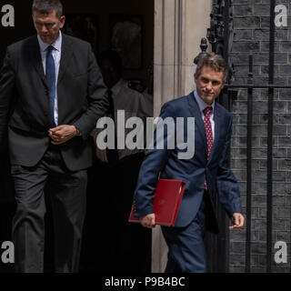 London, Großbritannien. 17. Juli 2018, Gavin Williamson CBE MP PC, Verteidigungsminister, Blätter der Kabinettssitzung der aktuellen Sitzung des Parlaments in Downing Street 10, London, UK. Kredit Ian Davidson/Alamy leben Nachrichten Stockfoto