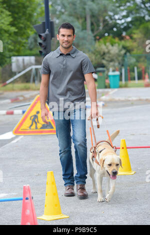 Blindenhund Stockfoto