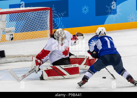 Goalie Shannon Szabados (CAN) während die Goldmedaille der Frauen Eishockey Spiel USA Kanada bei den Olympischen Winterspielen PyeongChang 2018 vs. Stockfoto