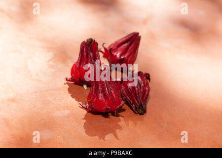 Frische Hibiscus sabdariffa oder roselle Früchte auf dem Tisch. Stockfoto