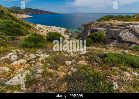 Springflowers an der Küste von Aliki, Insel Thasos, Ägäis, Griechenland Stockfoto