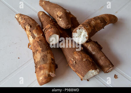 Maniok (Manihot esculenta), mandioc, (Spanisch: mandioca, Guarani: mandi'o), unverarbeitete Wurzeln auf weißer Tisch, Asuncion, Paraguay Stockfoto