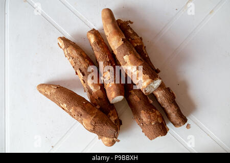 Maniok (Manihot esculenta), mandioc, (Spanisch: mandioca, Guarani: mandi'o), unverarbeitete Wurzeln auf weißer Tisch, Asuncion, Paraguay Stockfoto