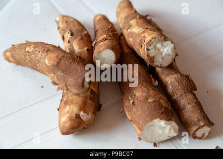 Maniok (Manihot esculenta), mandioc, (Spanisch: mandioca, Guarani: mandi'o), unverarbeitete Wurzeln auf weißer Tisch, Asuncion, Paraguay Stockfoto