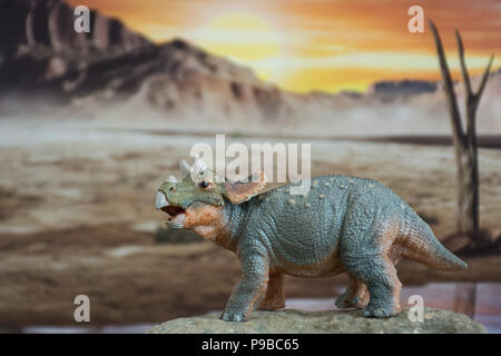 Baby tricaratops auf Jurassic land Stockfoto