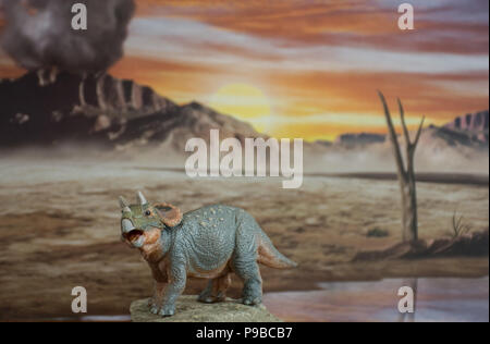 Baby tricaratops auf Jurassic land Stockfoto