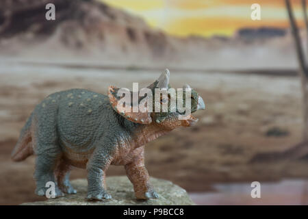 Baby tricaratops auf Jurassic land Stockfoto