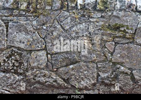 Sandsteinmauer mit Moos im Sonnenschein Stockfoto