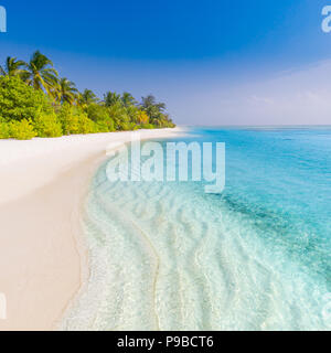 Ruhigen Strand Banner. Palmen und unglaublich blaue Meer mit weißen Sand Stockfoto