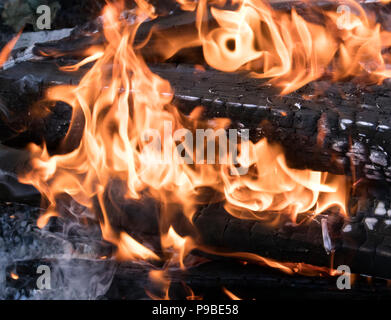 Lagerfeuer mit lodernden Feuers Flammen, verbrannt, Brennholz und Rauch closeup, können als Hintergrund oder Textur verwendet werden. Stockfoto