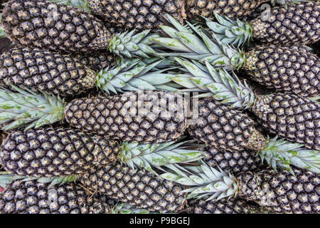 Pará, Brasilien. Nahaufnahme von Ananas am Street Fair in Amazon ausgesetzt. Stockfoto