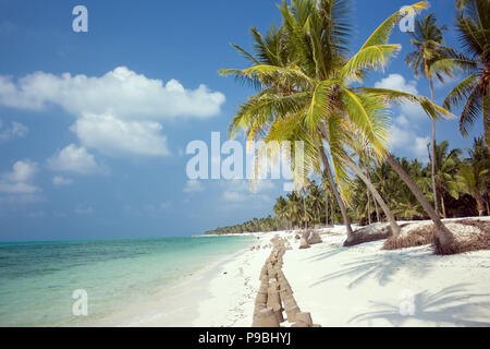 Insel Paradies - Palmen über einem weißen Sandstrand mit türkisfarbenem Wasser hängenden Stockfoto