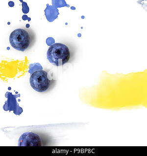 Heidelbeeren auf weißem Hintergrund mit Aquarell Spritzer; kreative Gestaltung mit Kopie Raum; Stockfoto