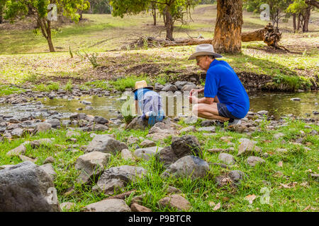 Großvater hocken Neben seinem Enkel, der in einen Bach in der australischen Landschaft auf der Suche ist. Stockfoto