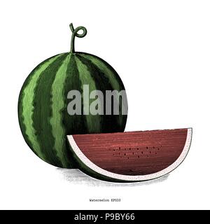 Wassermelone Handzeichnung vintage Clipart auf weißem Hintergrund Stock Vektor